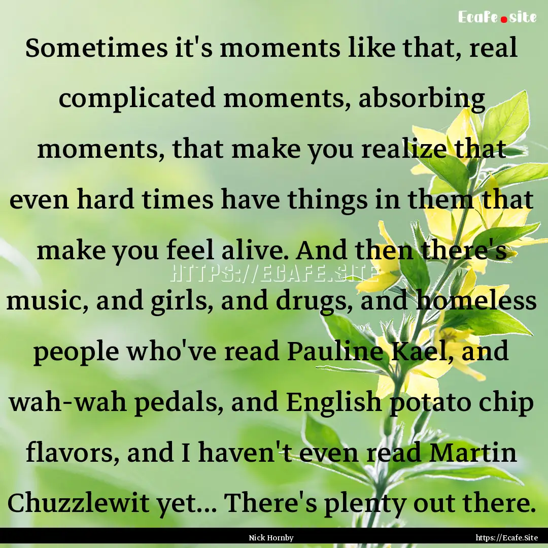 Sometimes it's moments like that, real complicated.... : Quote by Nick Hornby