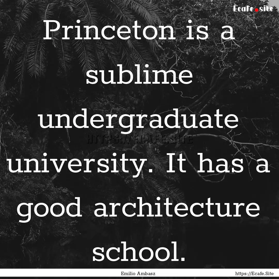 Princeton is a sublime undergraduate university..... : Quote by Emilio Ambasz