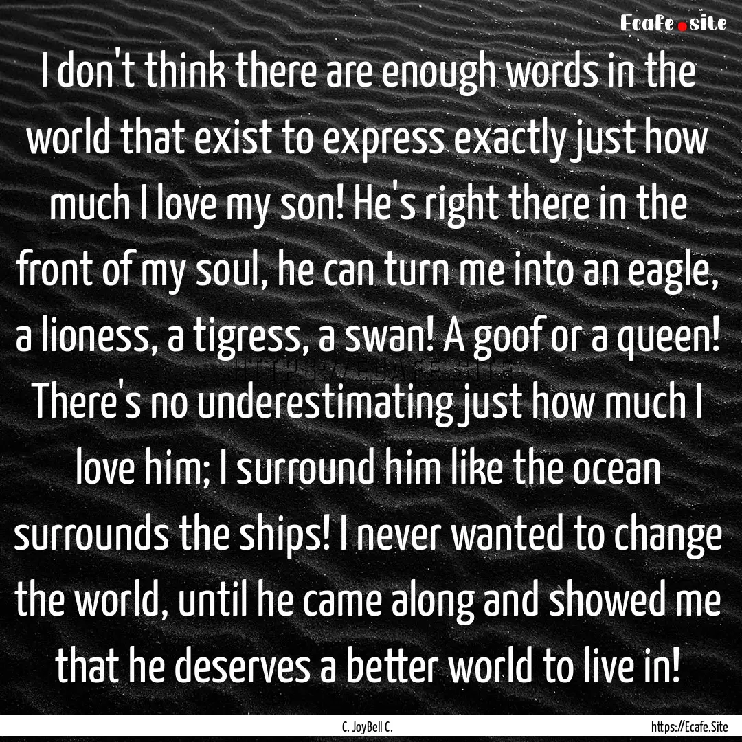 I don't think there are enough words in the.... : Quote by C. JoyBell C.