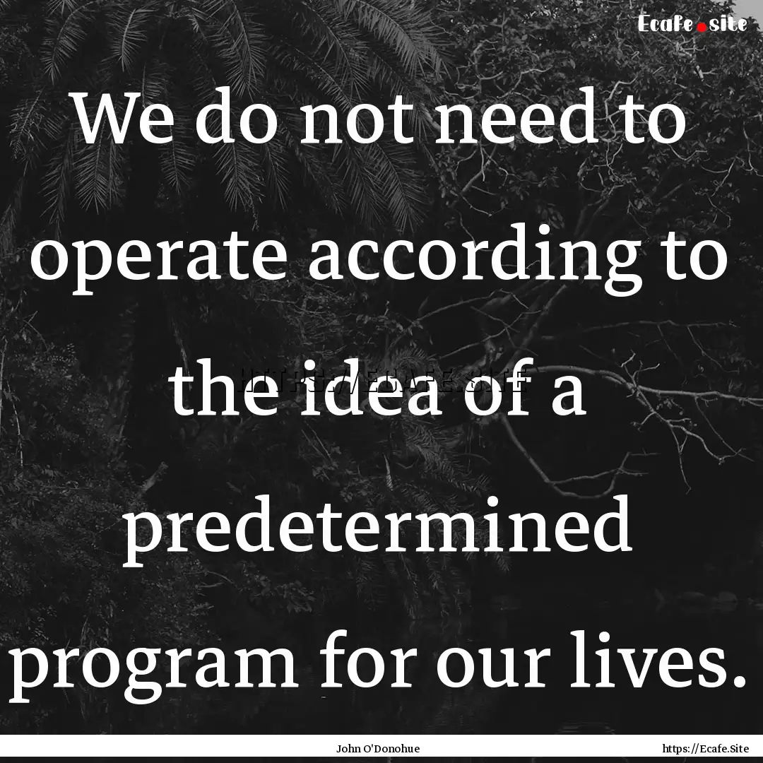 We do not need to operate according to the.... : Quote by John O'Donohue