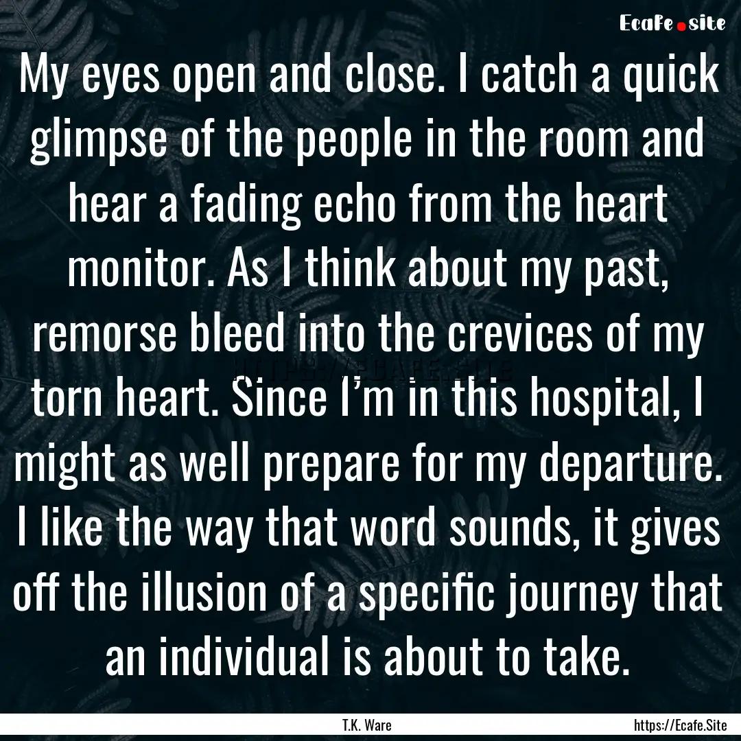 My eyes open and close. I catch a quick glimpse.... : Quote by T.K. Ware