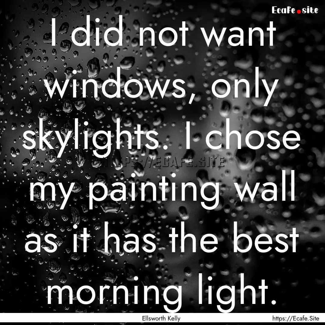 I did not want windows, only skylights. I.... : Quote by Ellsworth Kelly