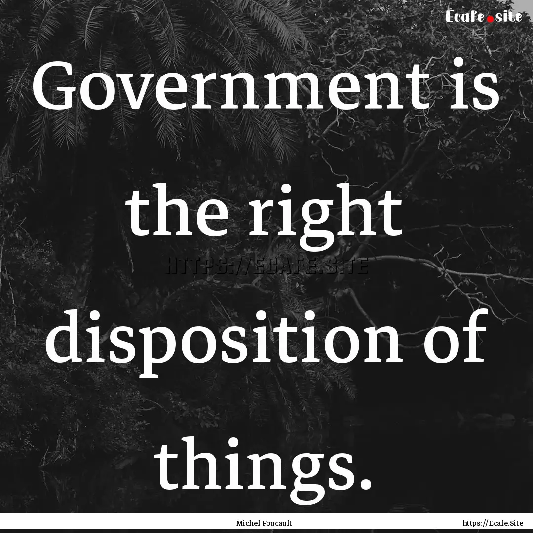 Government is the right disposition of things..... : Quote by Michel Foucault