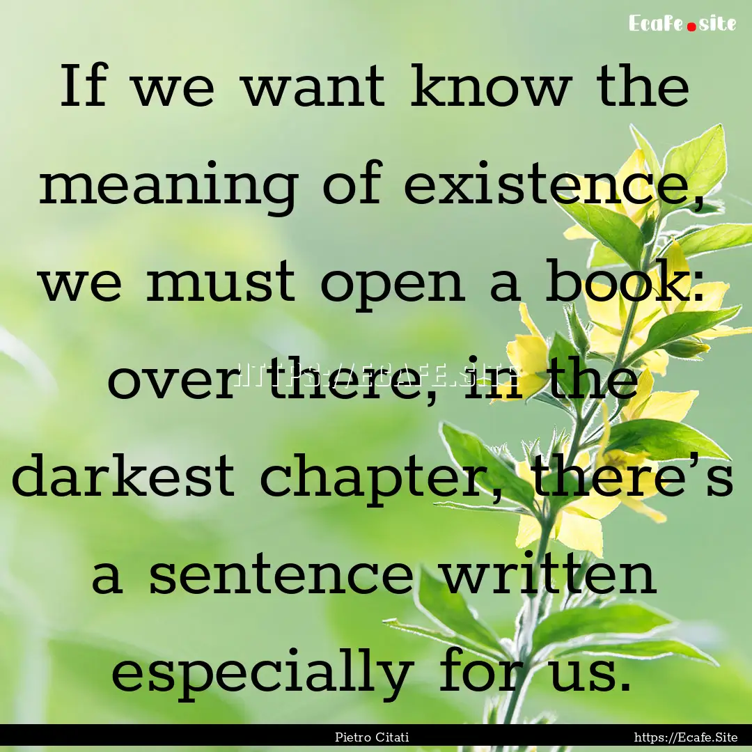 If we want know the meaning of existence,.... : Quote by Pietro Citati