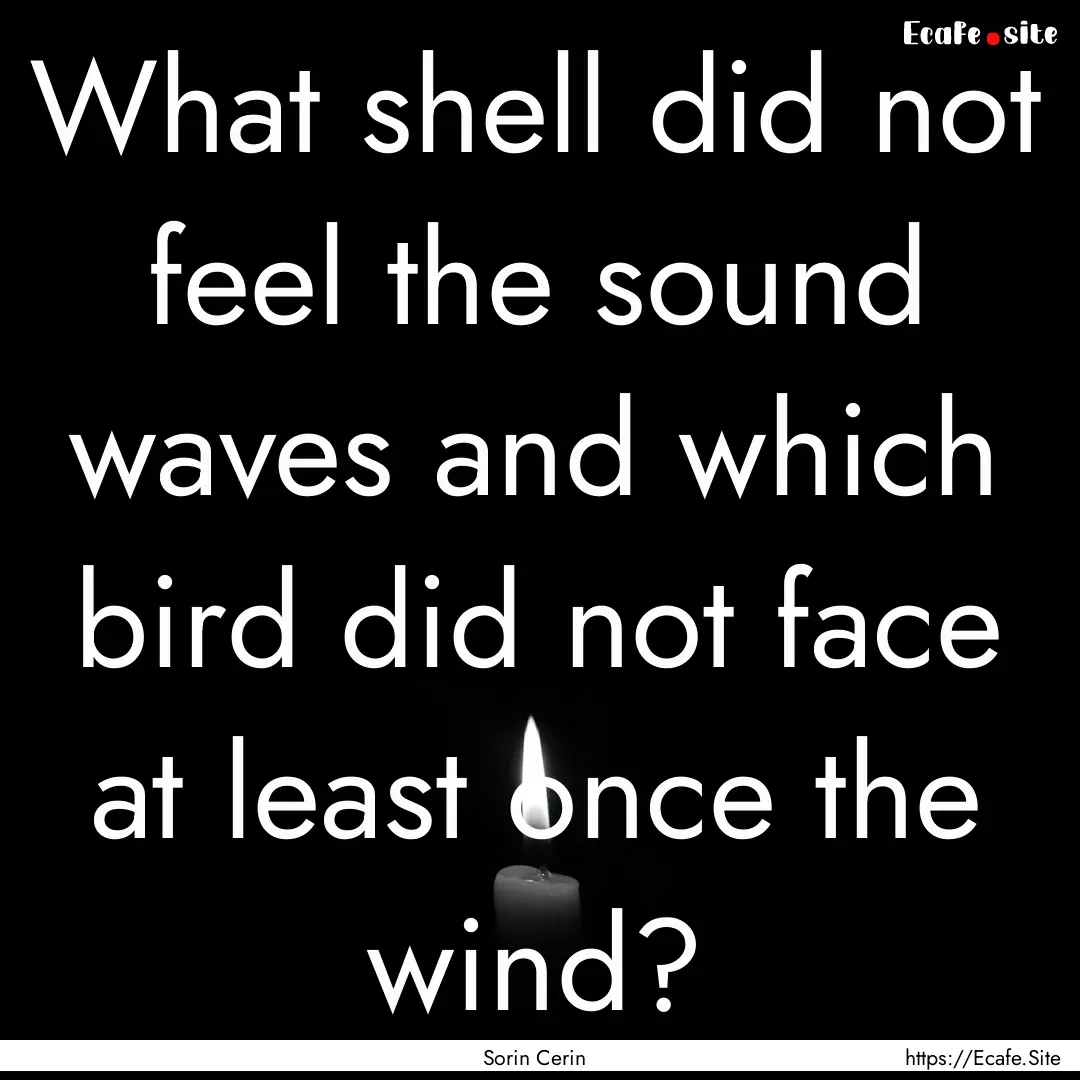 What shell did not feel the sound waves and.... : Quote by Sorin Cerin