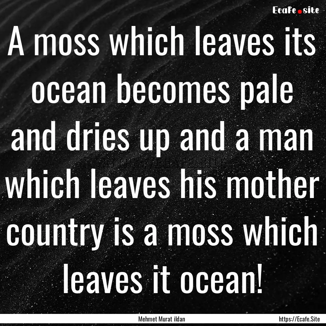 A moss which leaves its ocean becomes pale.... : Quote by Mehmet Murat ildan