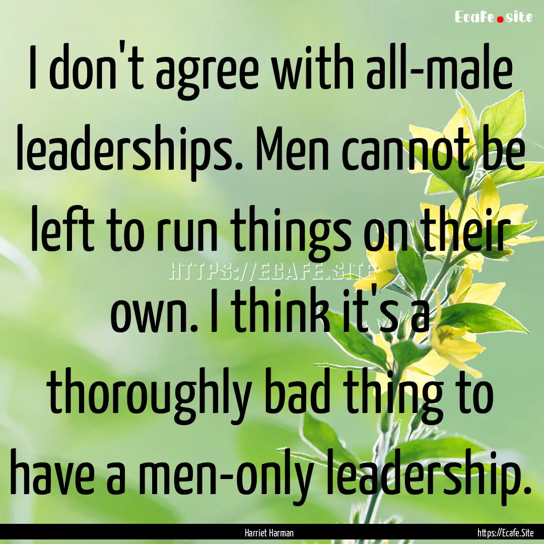 I don't agree with all-male leaderships..... : Quote by Harriet Harman