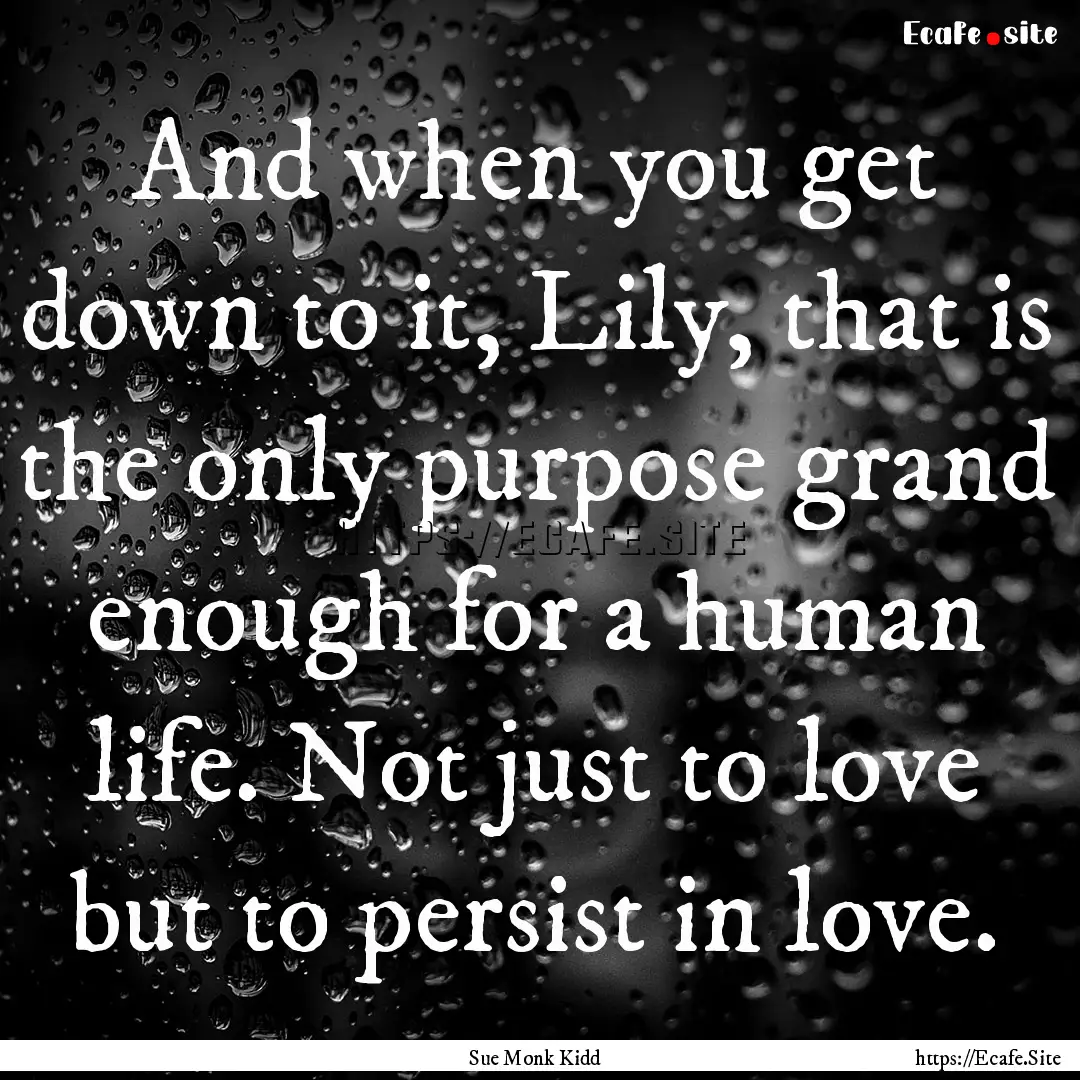 And when you get down to it, Lily, that is.... : Quote by Sue Monk Kidd