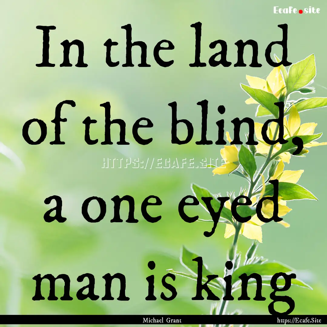 In the land of the blind, a one eyed man.... : Quote by Michael Grant