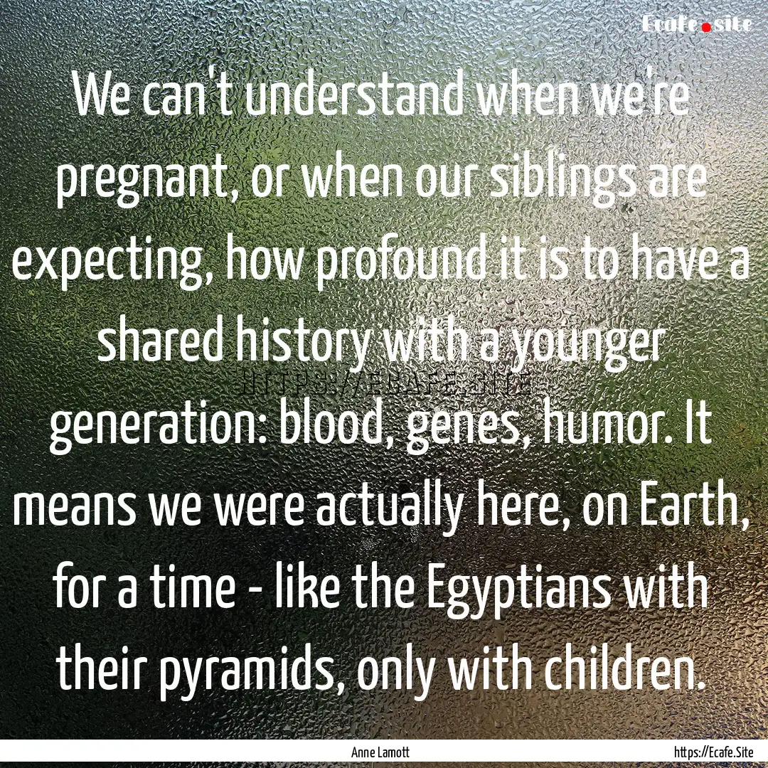 We can't understand when we're pregnant,.... : Quote by Anne Lamott