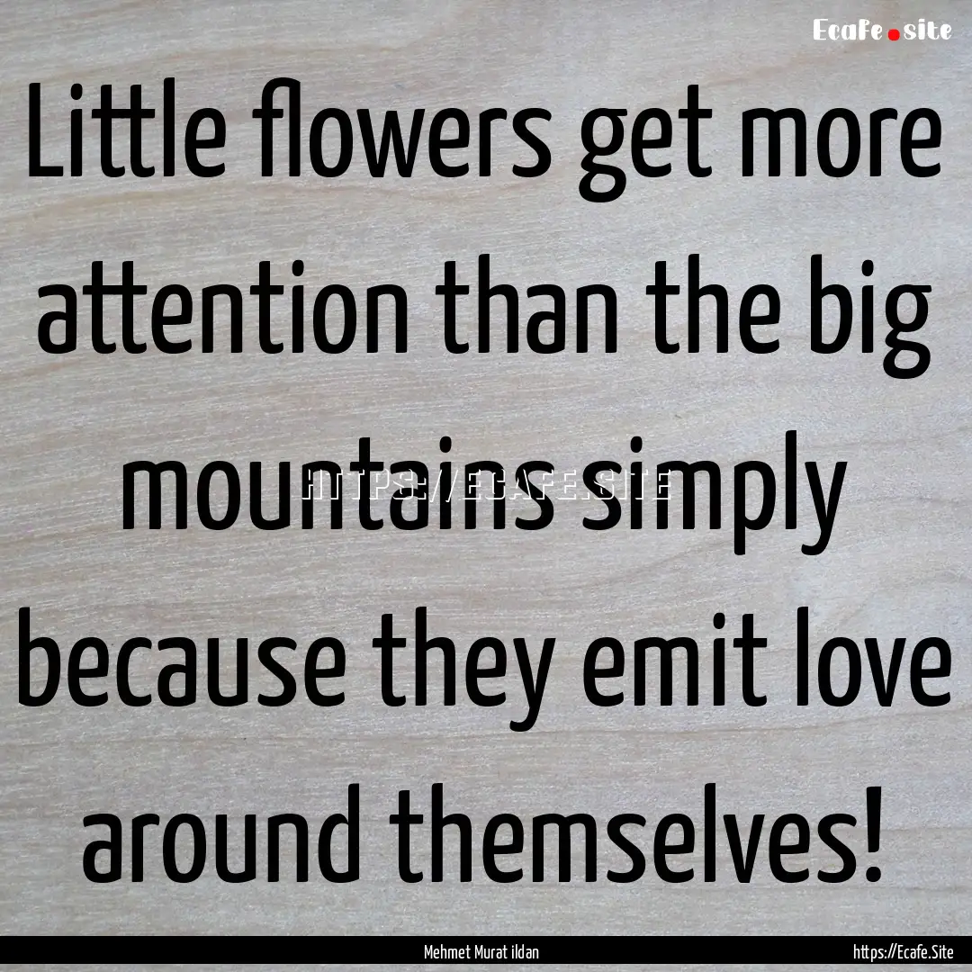 Little flowers get more attention than the.... : Quote by Mehmet Murat ildan