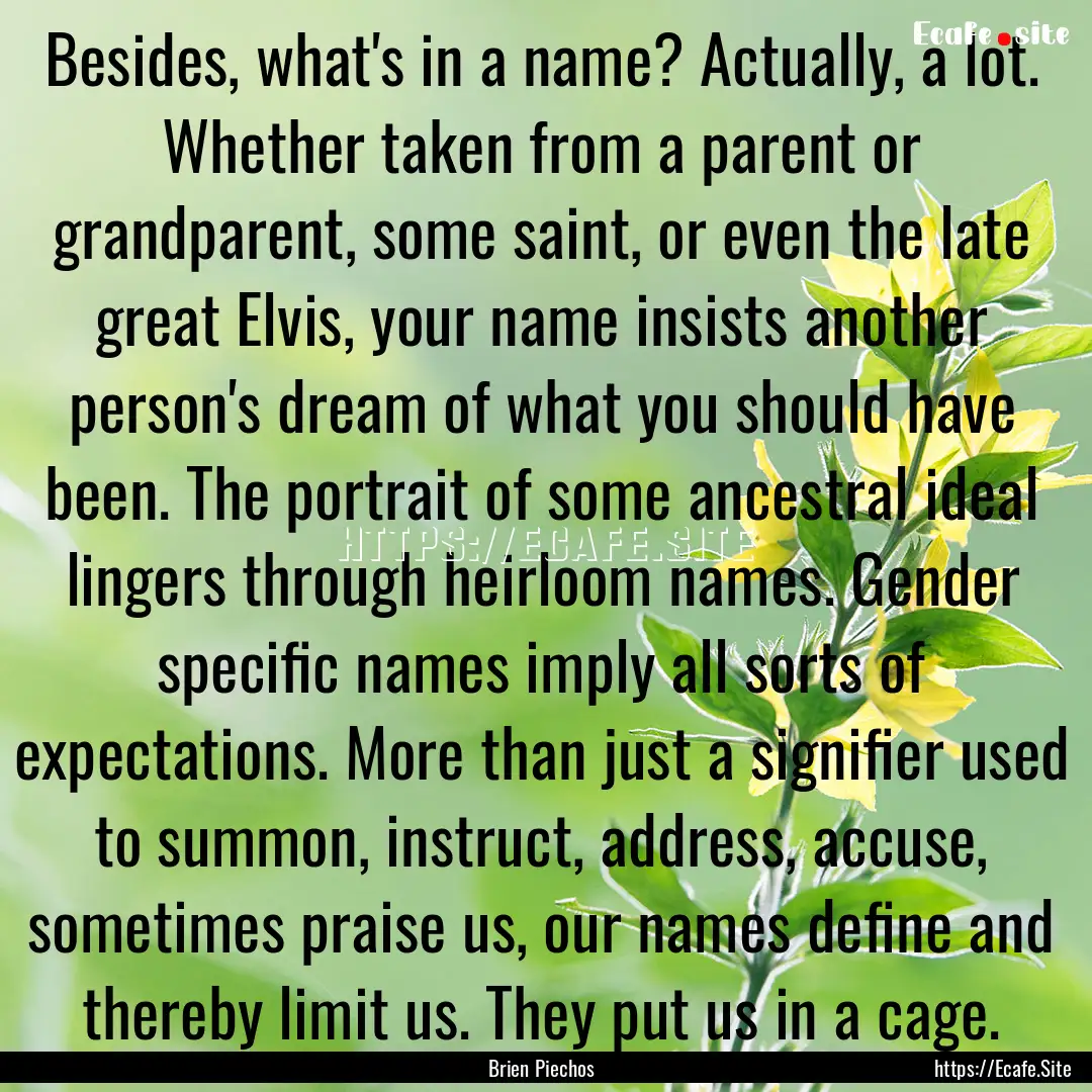 Besides, what's in a name? Actually, a lot..... : Quote by Brien Piechos