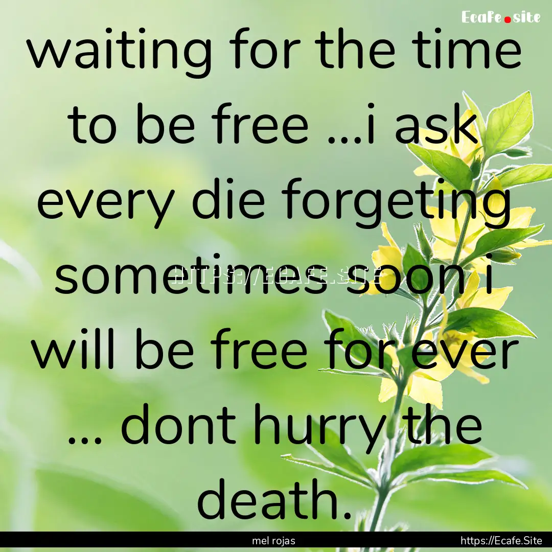 waiting for the time to be free ...i ask.... : Quote by mel rojas