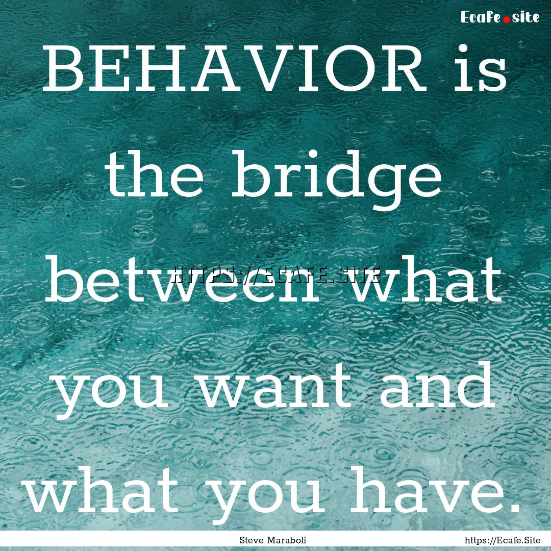 BEHAVIOR is the bridge between what you want.... : Quote by Steve Maraboli