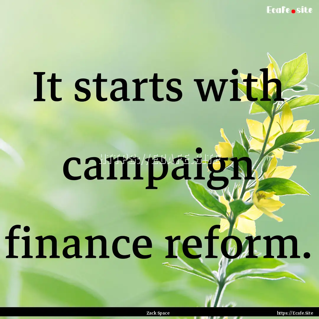 It starts with campaign finance reform. : Quote by Zack Space