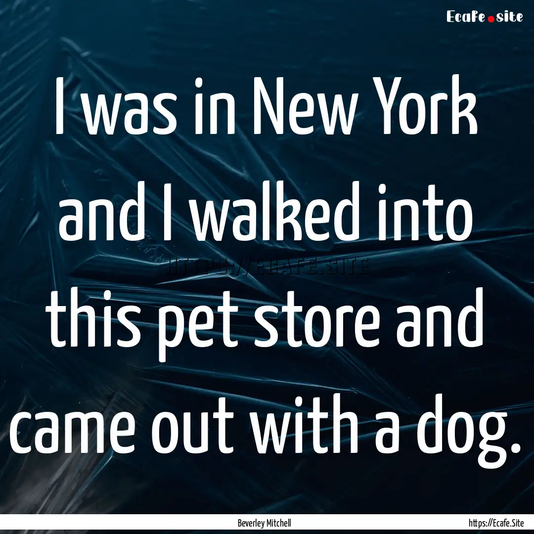 I was in New York and I walked into this.... : Quote by Beverley Mitchell