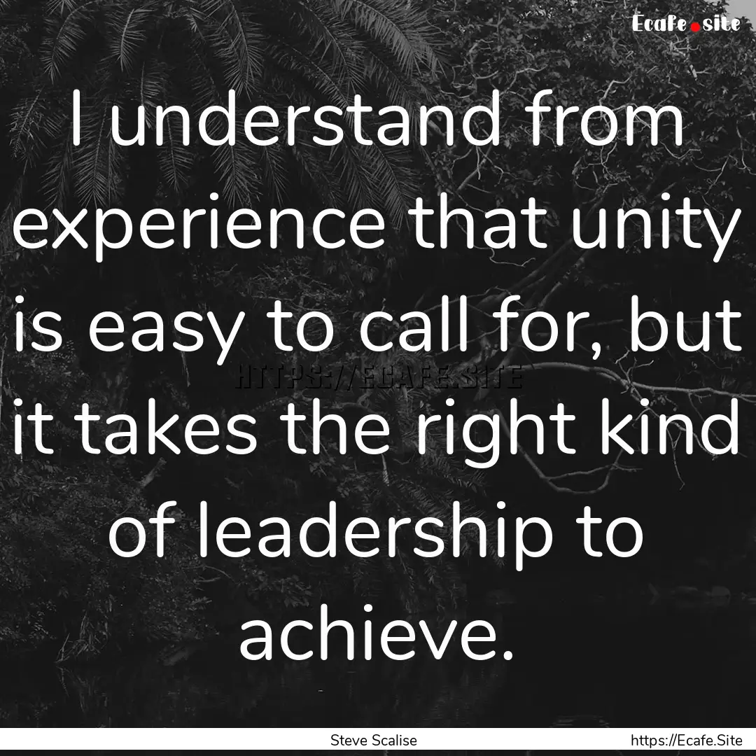 I understand from experience that unity is.... : Quote by Steve Scalise