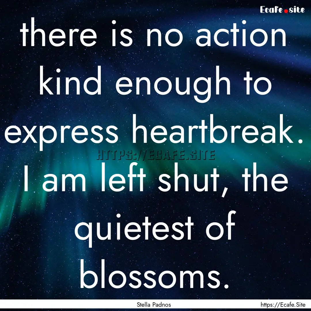 there is no action kind enough to express.... : Quote by Stella Padnos