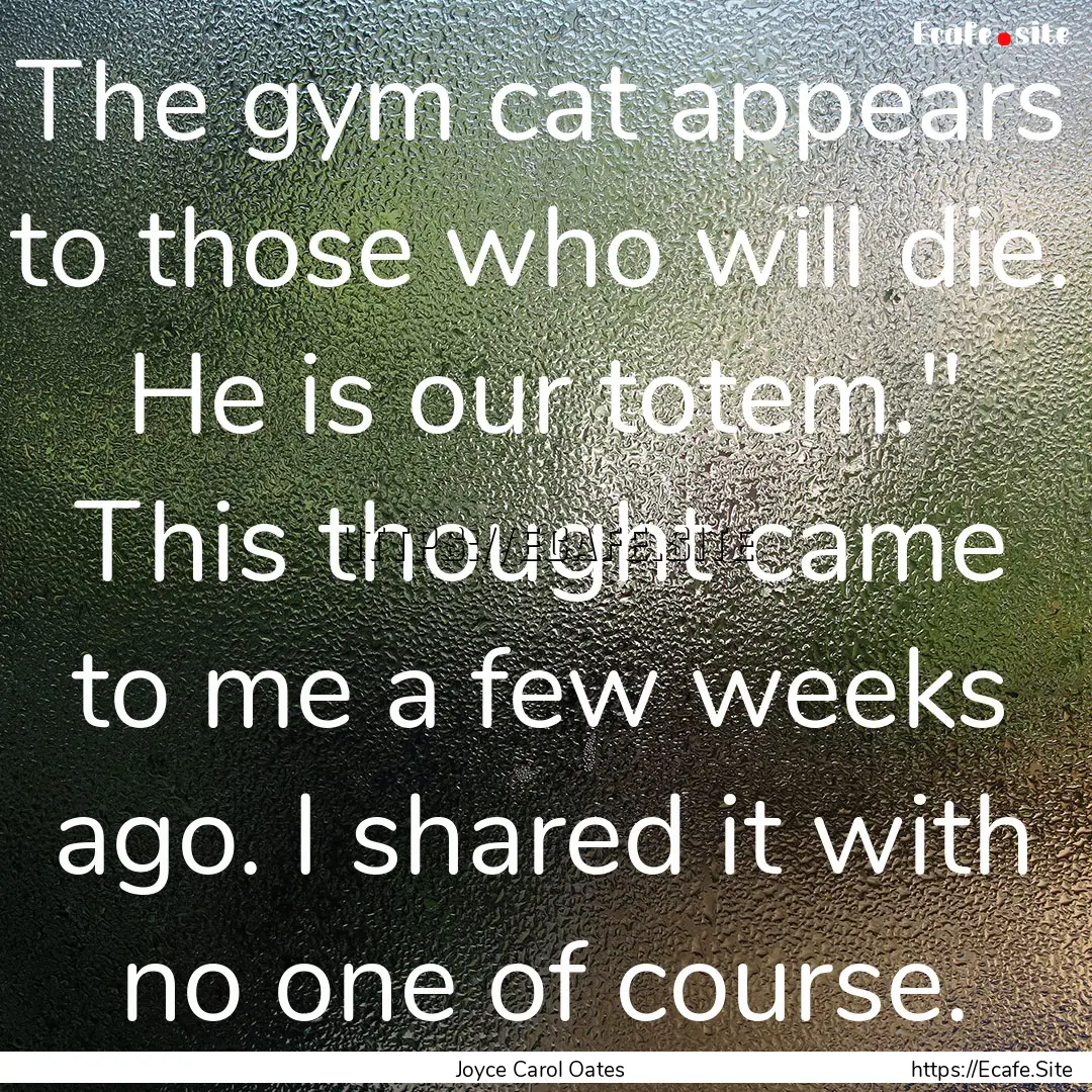 The gym cat appears to those who will die..... : Quote by Joyce Carol Oates