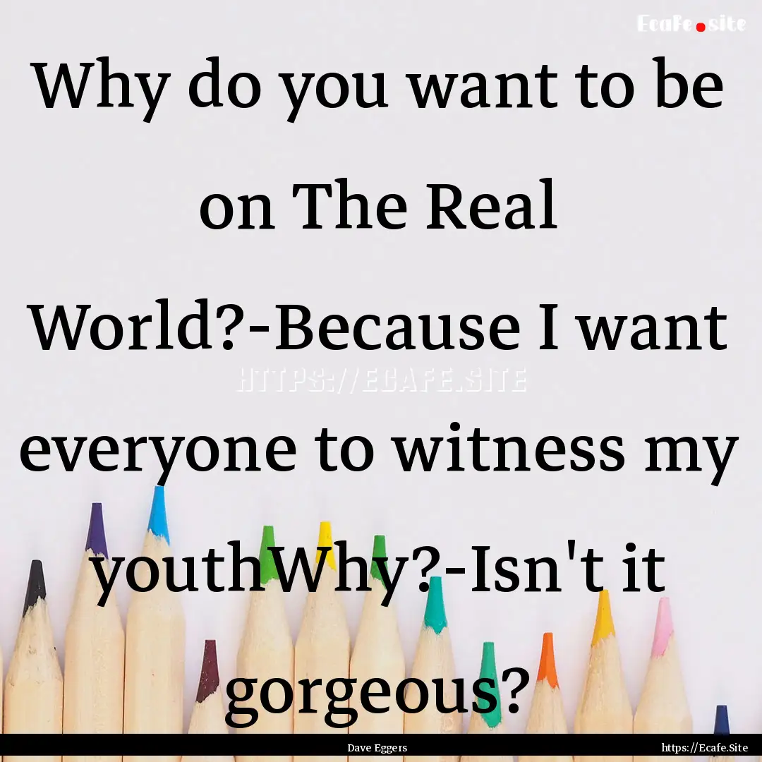 Why do you want to be on The Real World?-Because.... : Quote by Dave Eggers