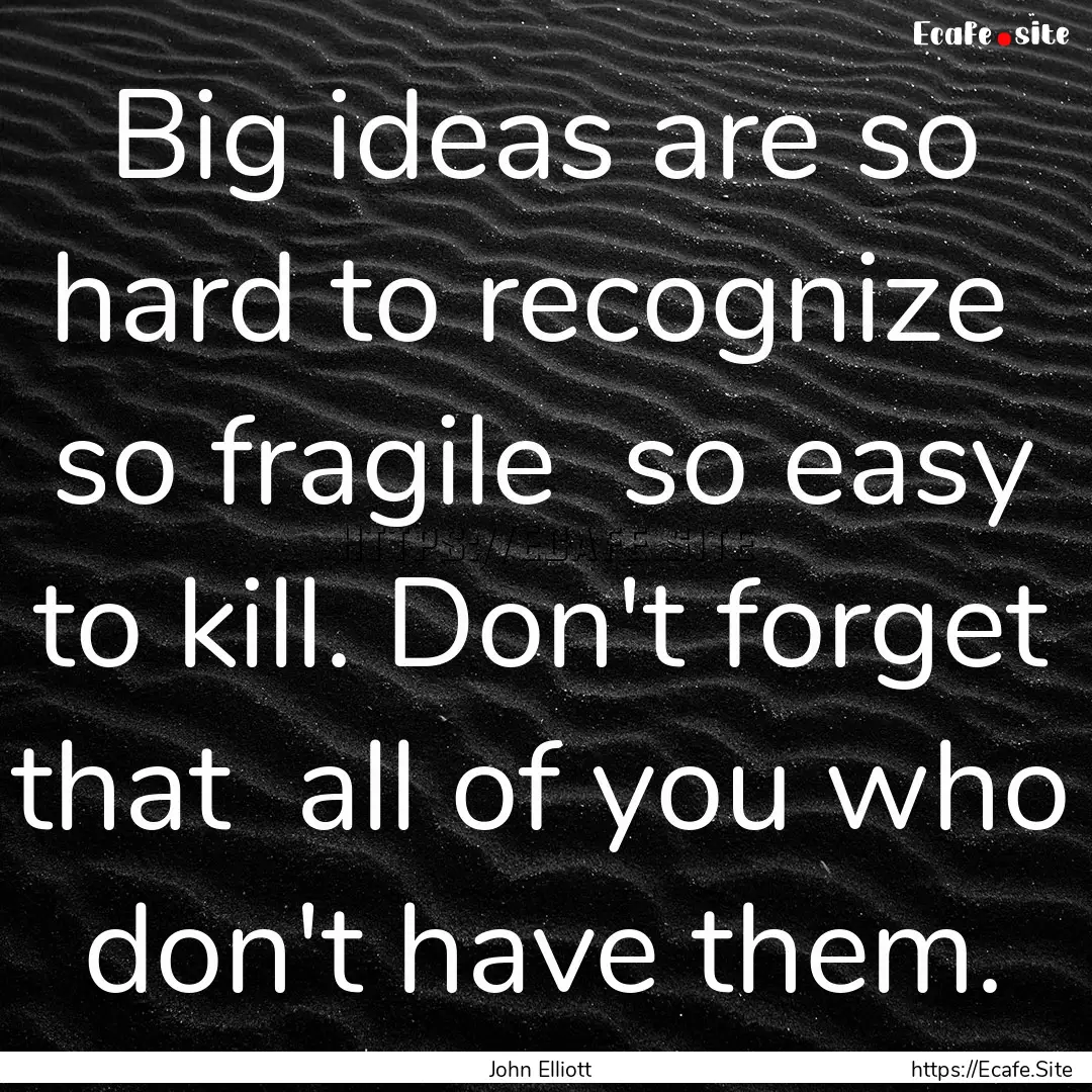 Big ideas are so hard to recognize so fragile.... : Quote by John Elliott