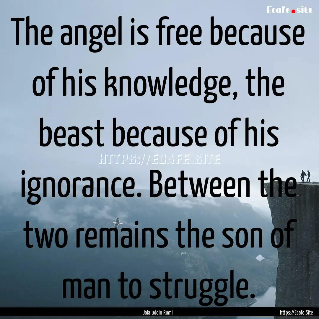 The angel is free because of his knowledge,.... : Quote by Jalaluddin Rumi