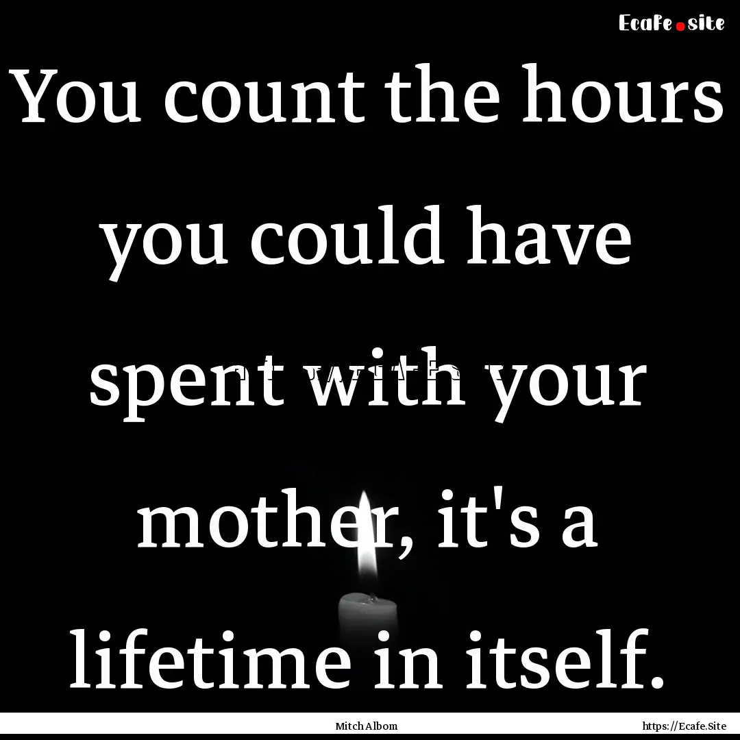 You count the hours you could have spent.... : Quote by Mitch Albom