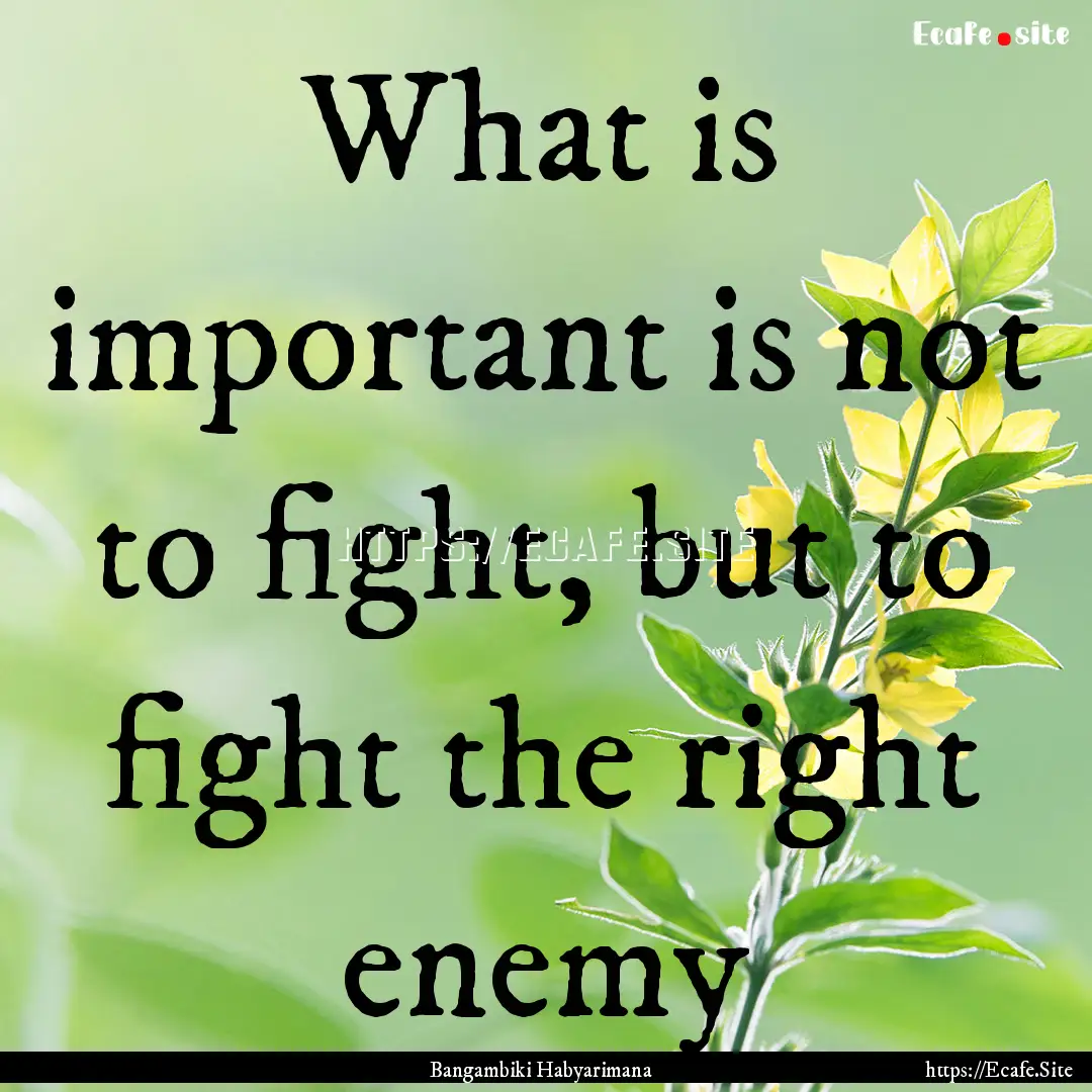 What is important is not to fight, but to.... : Quote by Bangambiki Habyarimana