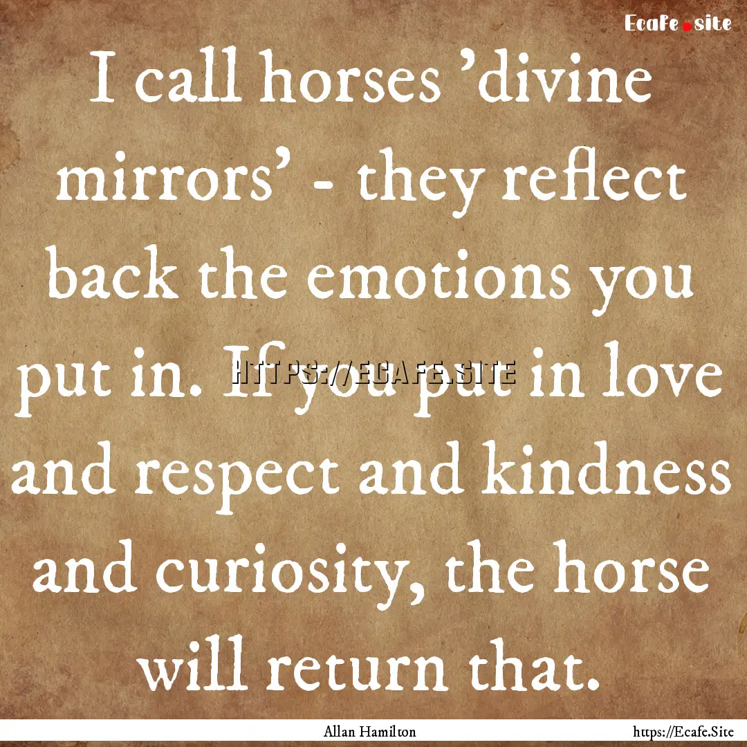 I call horses 'divine mirrors' - they reflect.... : Quote by Allan Hamilton