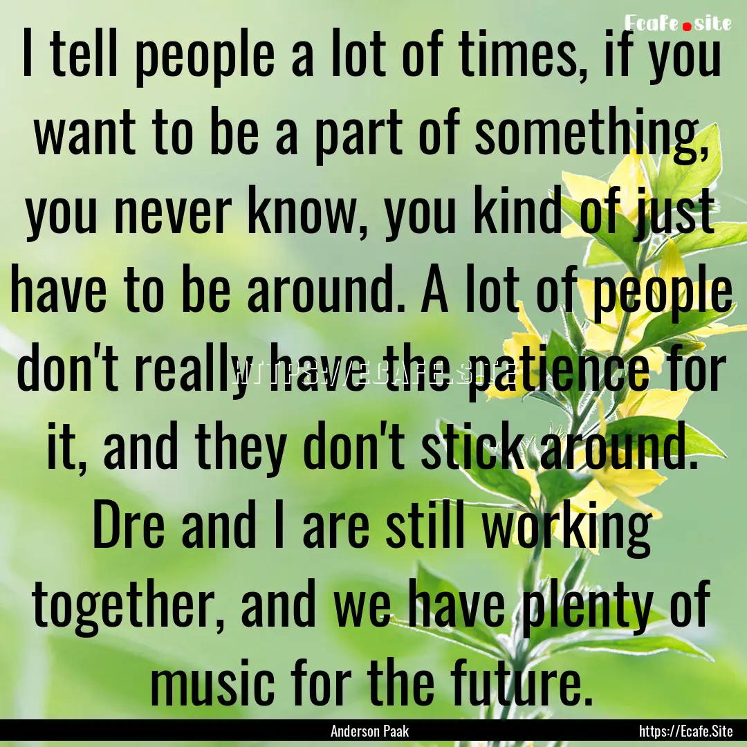 I tell people a lot of times, if you want.... : Quote by Anderson Paak