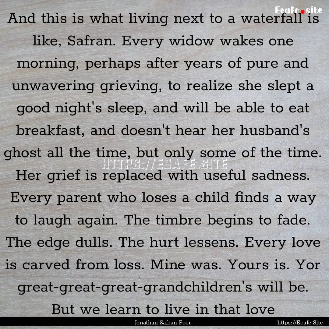 And this is what living next to a waterfall.... : Quote by Jonathan Safran Foer