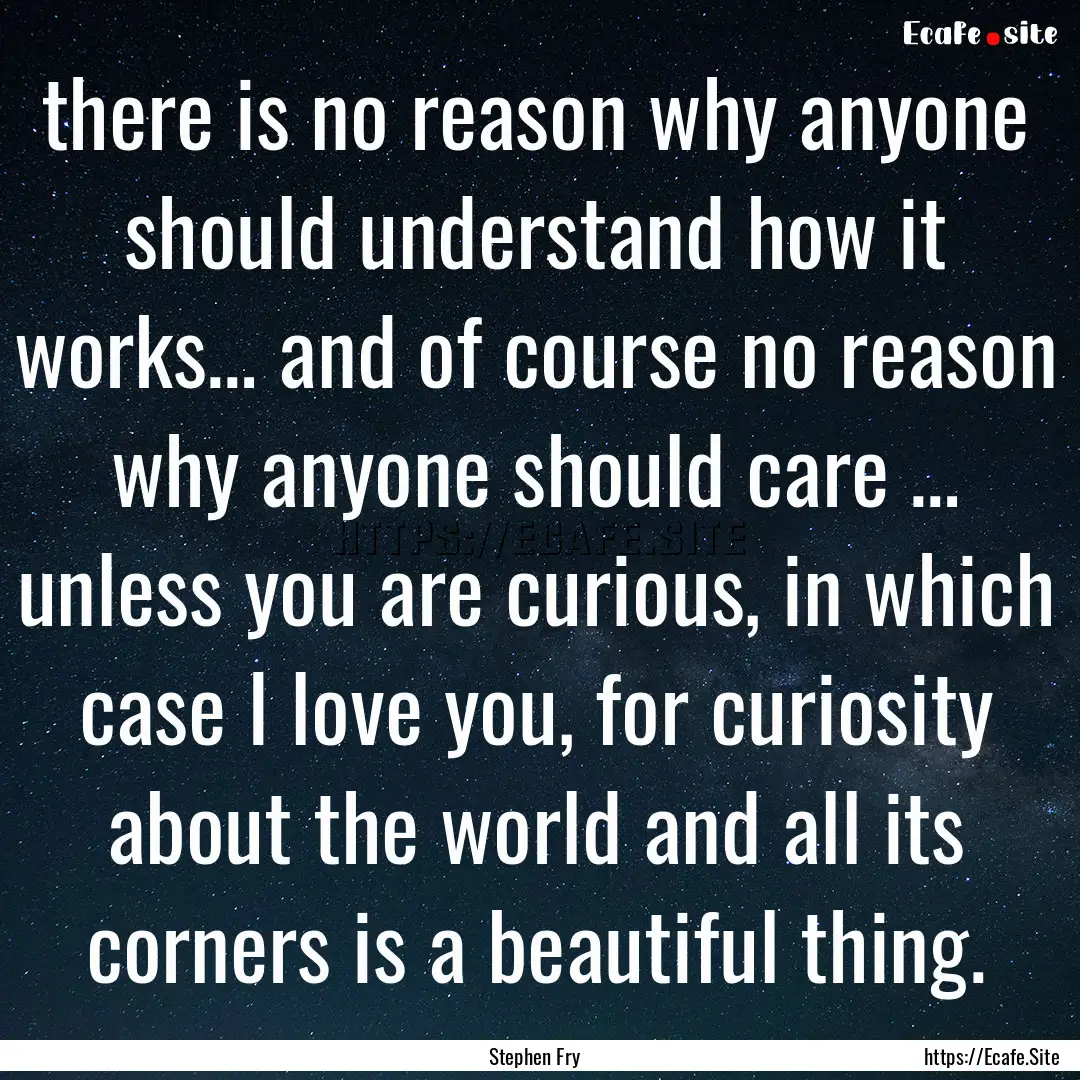 there is no reason why anyone should understand.... : Quote by Stephen Fry