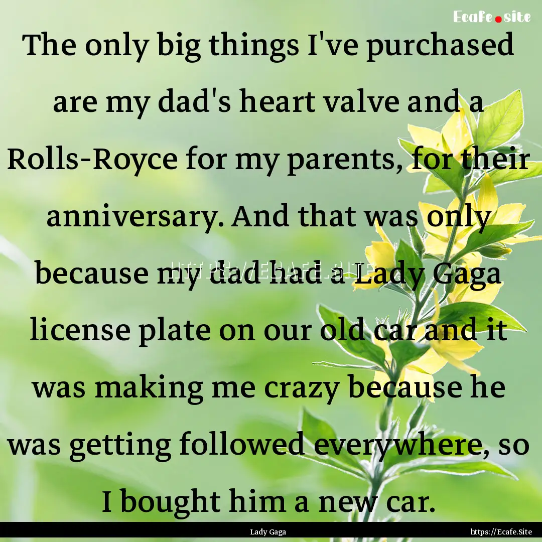 The only big things I've purchased are my.... : Quote by Lady Gaga