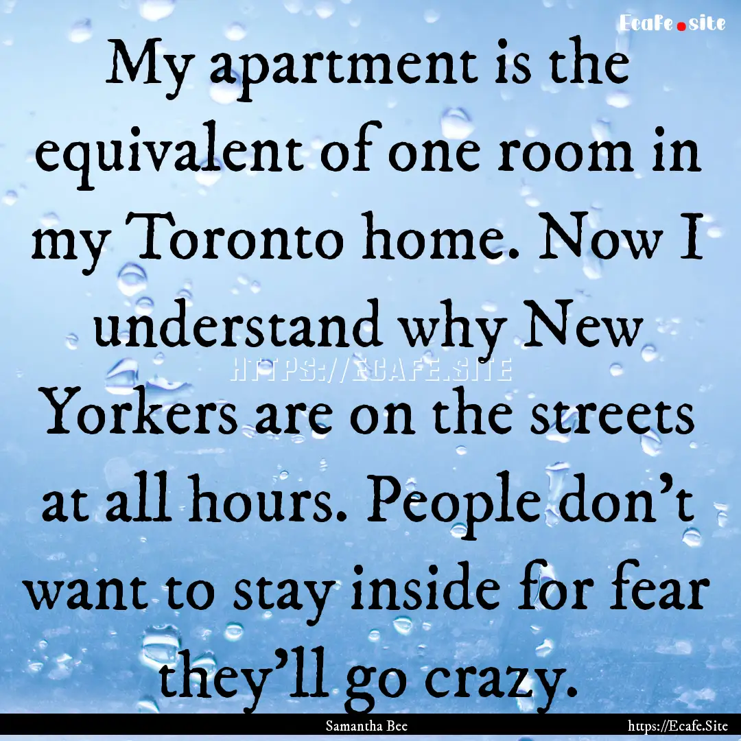 My apartment is the equivalent of one room.... : Quote by Samantha Bee