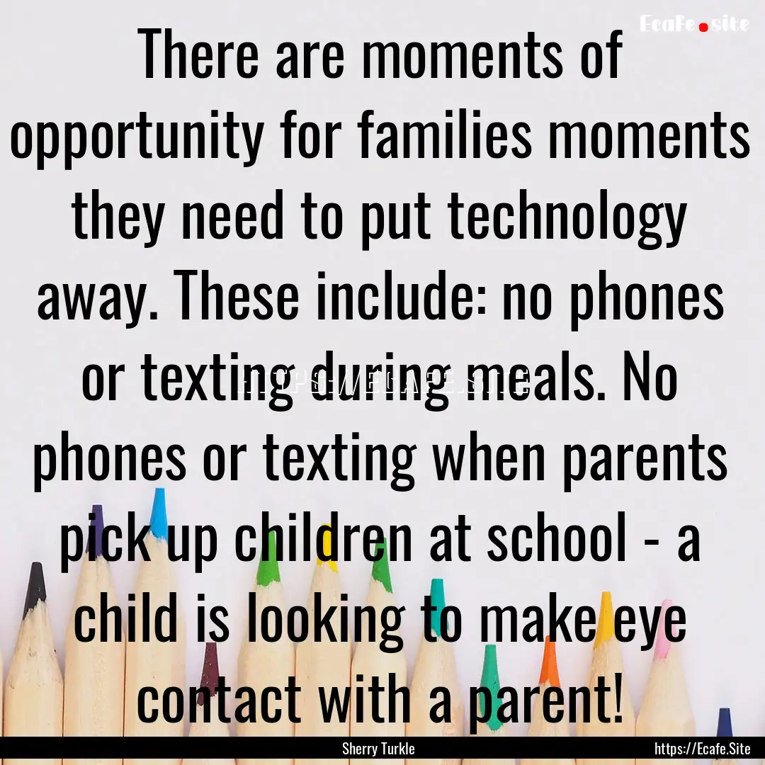 There are moments of opportunity for families.... : Quote by Sherry Turkle