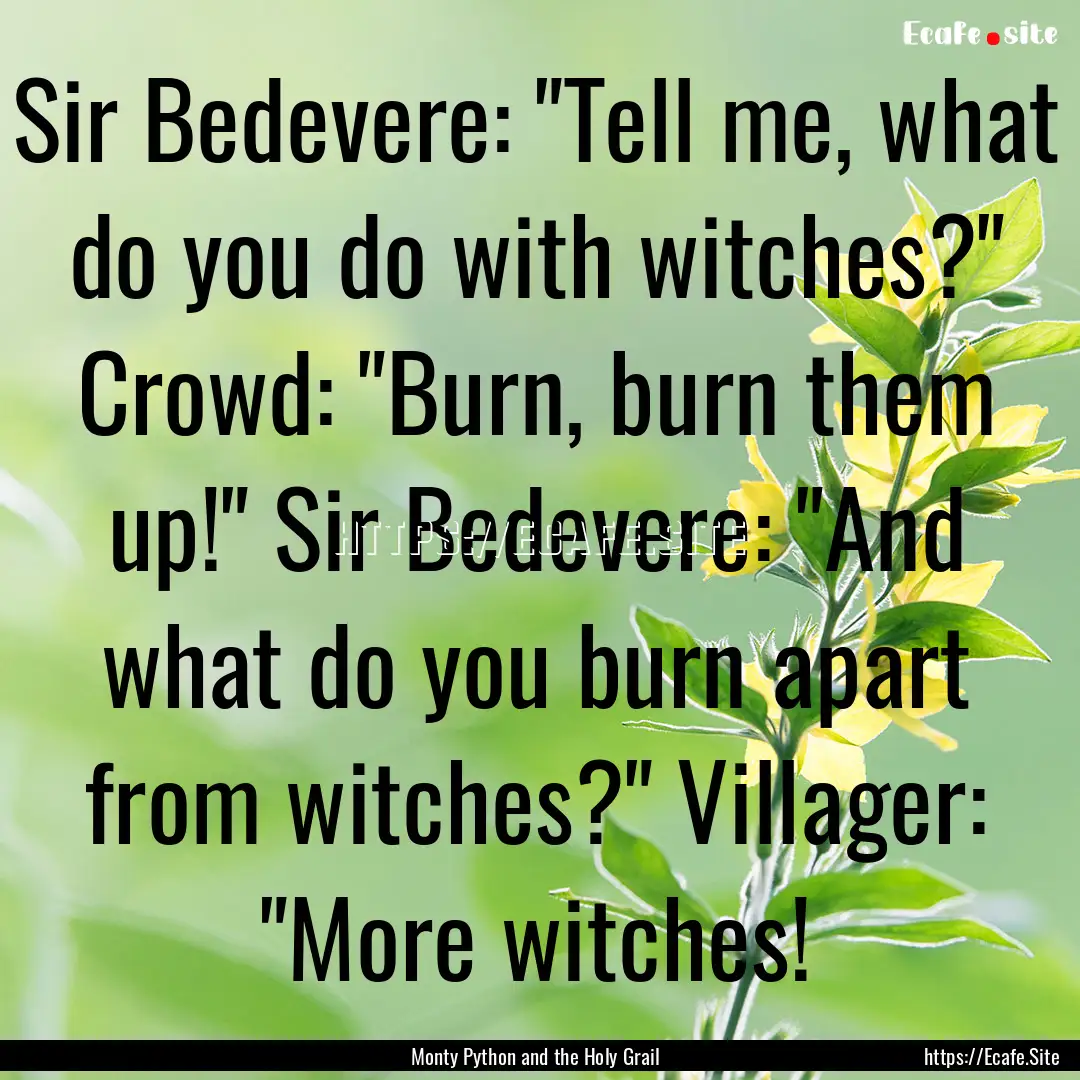 Sir Bedevere: 