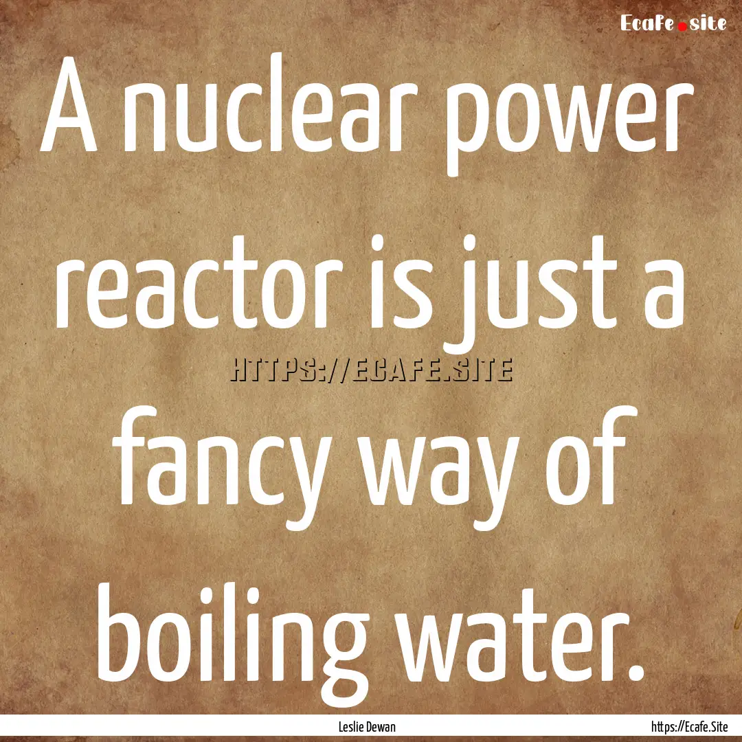 A nuclear power reactor is just a fancy way.... : Quote by Leslie Dewan