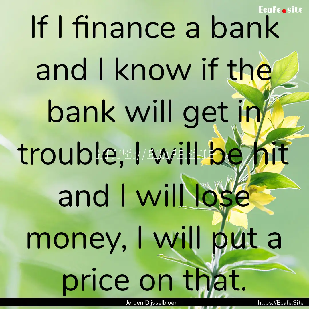 If I finance a bank and I know if the bank.... : Quote by Jeroen Dijsselbloem