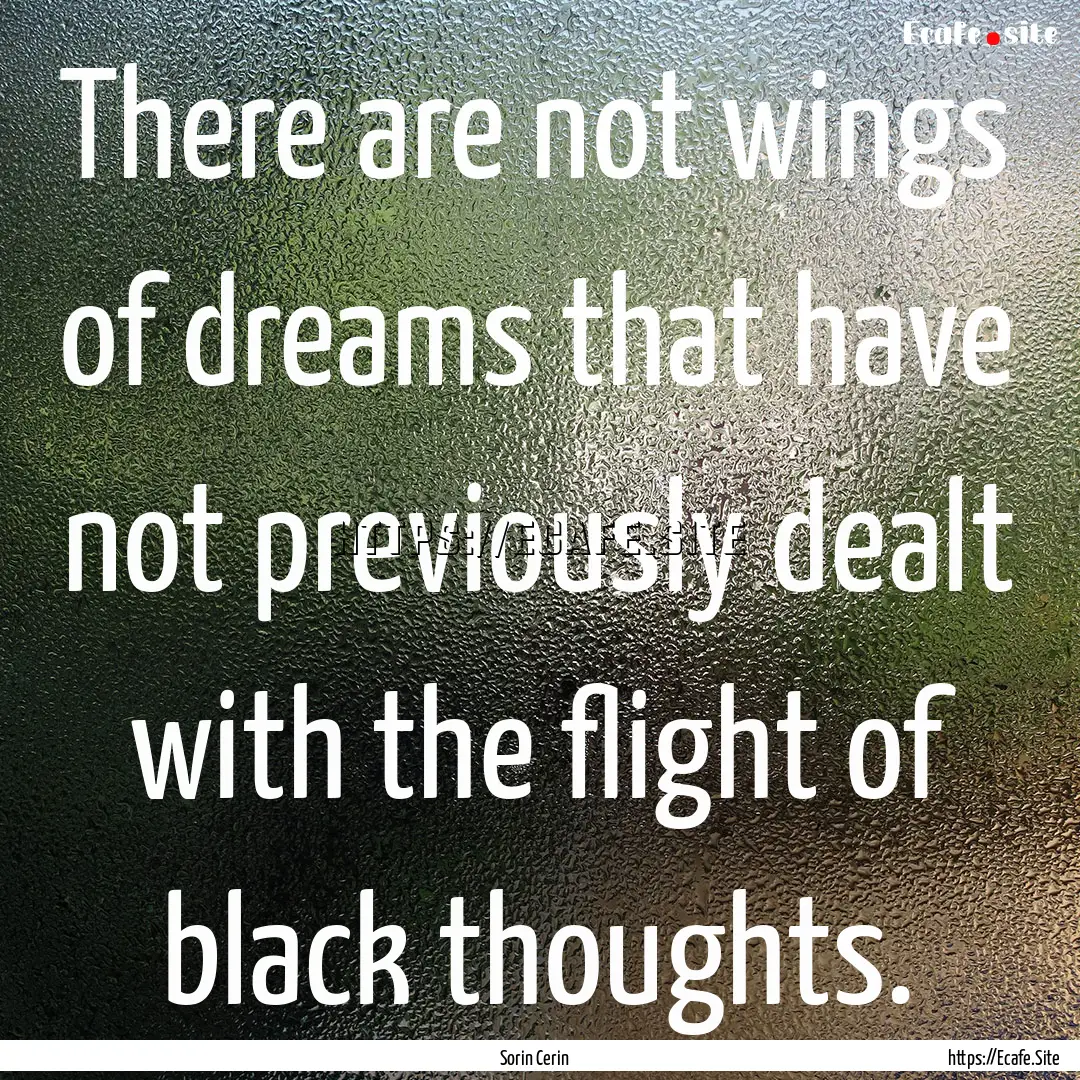 There are not wings of dreams that have not.... : Quote by Sorin Cerin