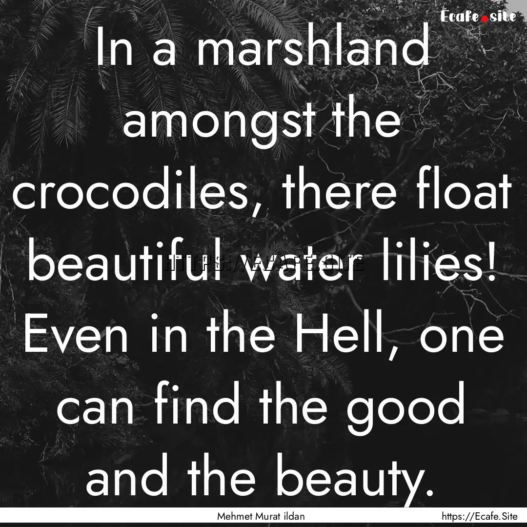 In a marshland amongst the crocodiles, there.... : Quote by Mehmet Murat ildan