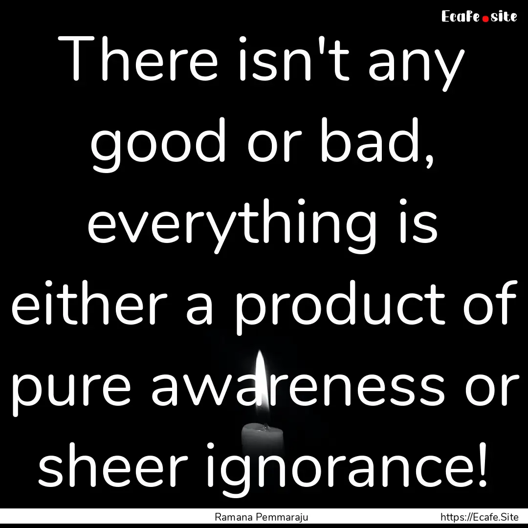 There isn't any good or bad, everything is.... : Quote by Ramana Pemmaraju