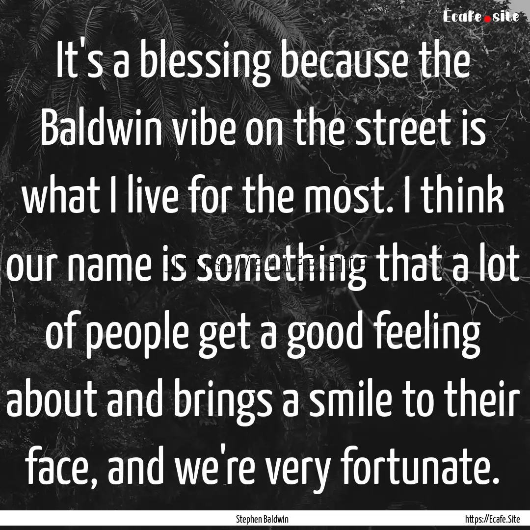 It's a blessing because the Baldwin vibe.... : Quote by Stephen Baldwin