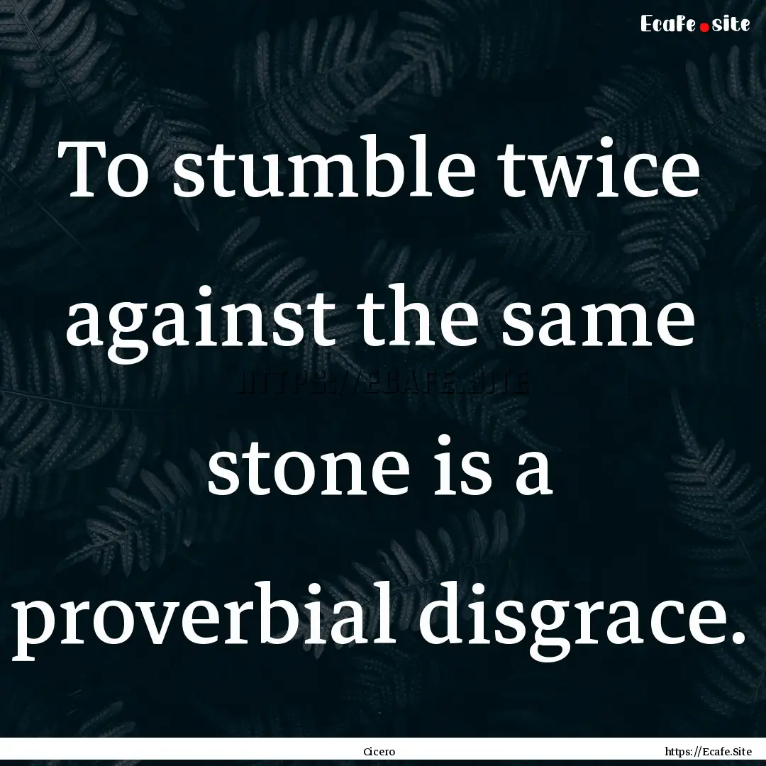 To stumble twice against the same stone is.... : Quote by Cicero