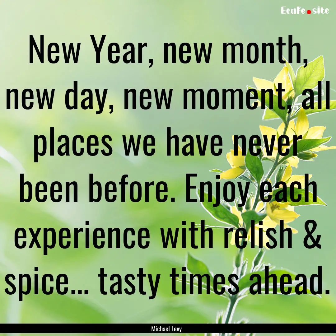 New Year, new month, new day, new moment,.... : Quote by Michael Levy