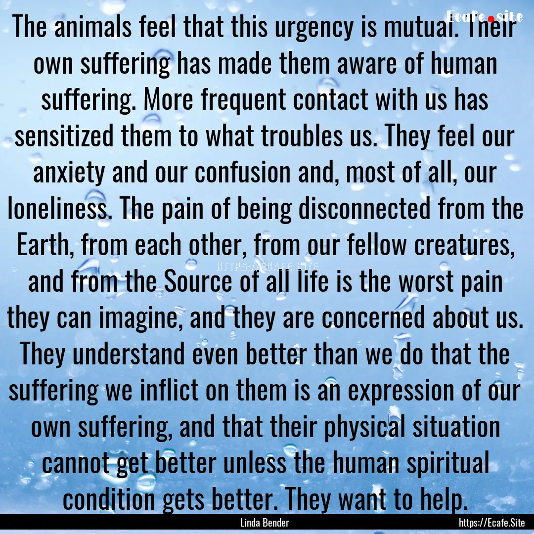 The animals feel that this urgency is mutual..... : Quote by Linda Bender