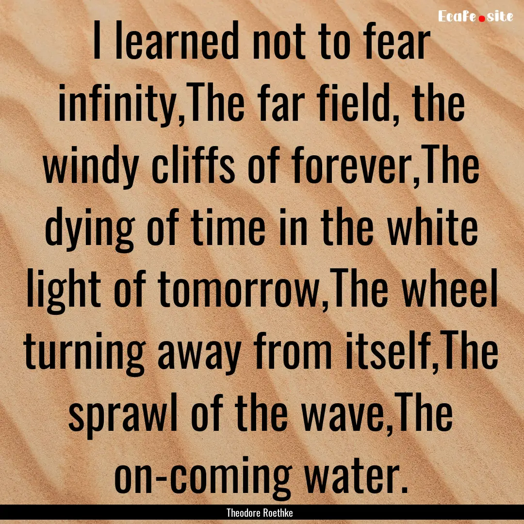 I learned not to fear infinity,The far field,.... : Quote by Theodore Roethke