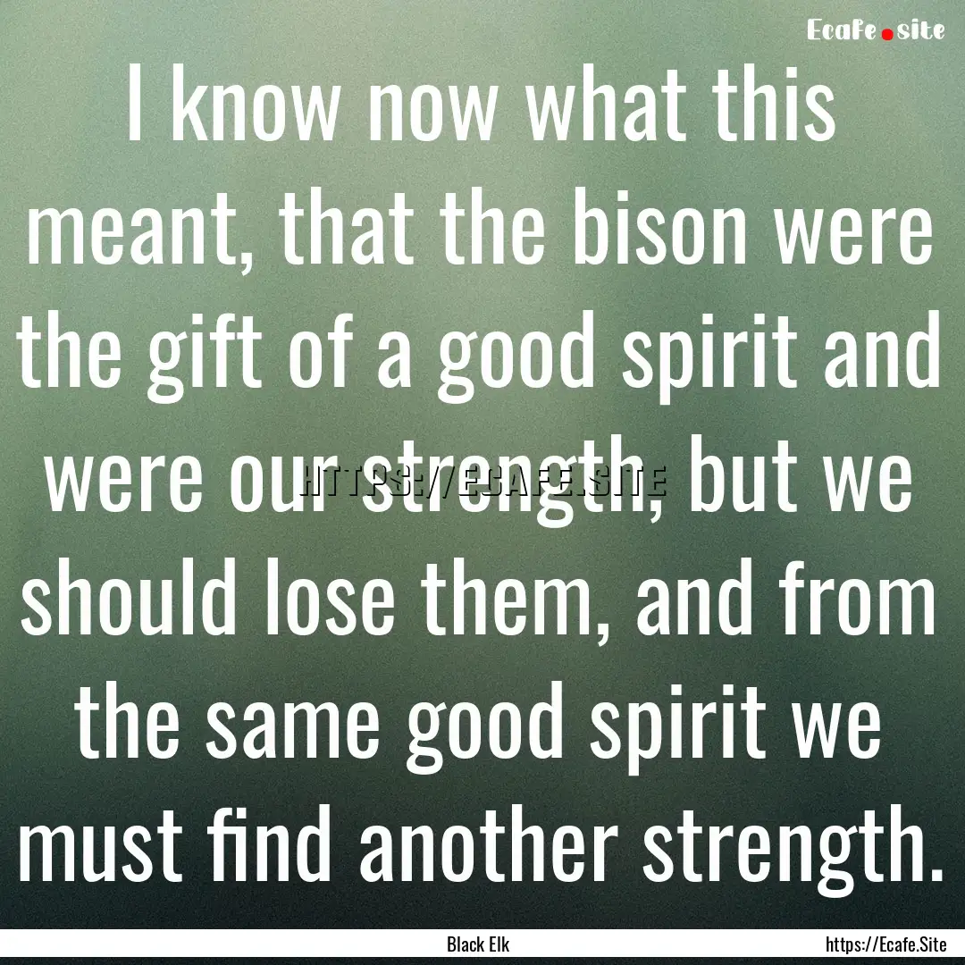 I know now what this meant, that the bison.... : Quote by Black Elk