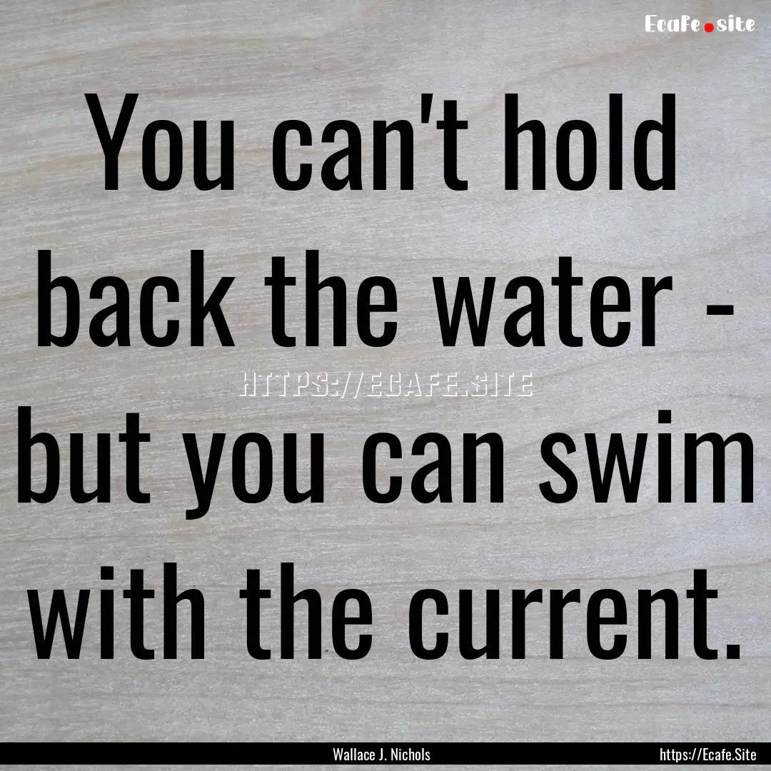 You can't hold back the water - but you can.... : Quote by Wallace J. Nichols