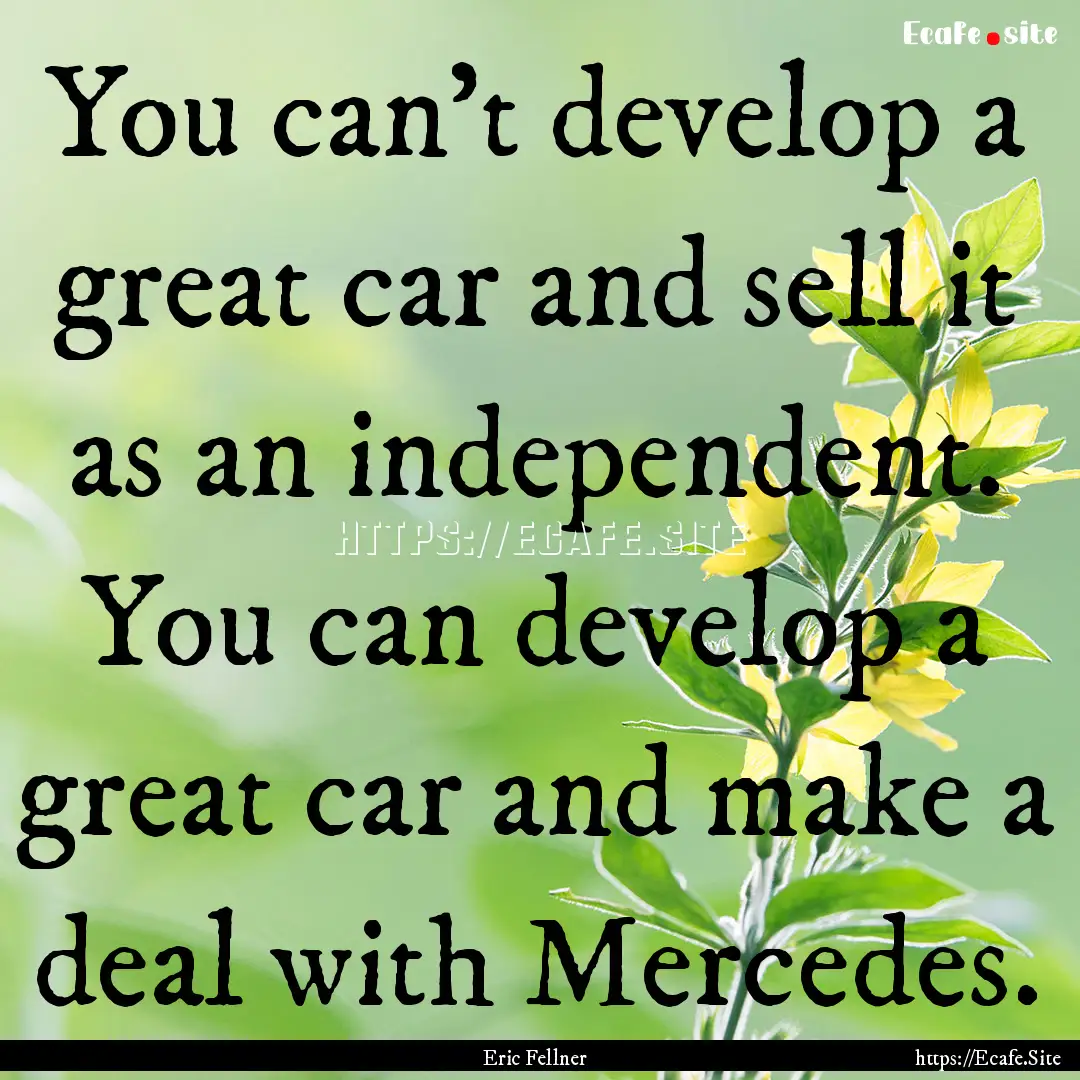 You can't develop a great car and sell it.... : Quote by Eric Fellner