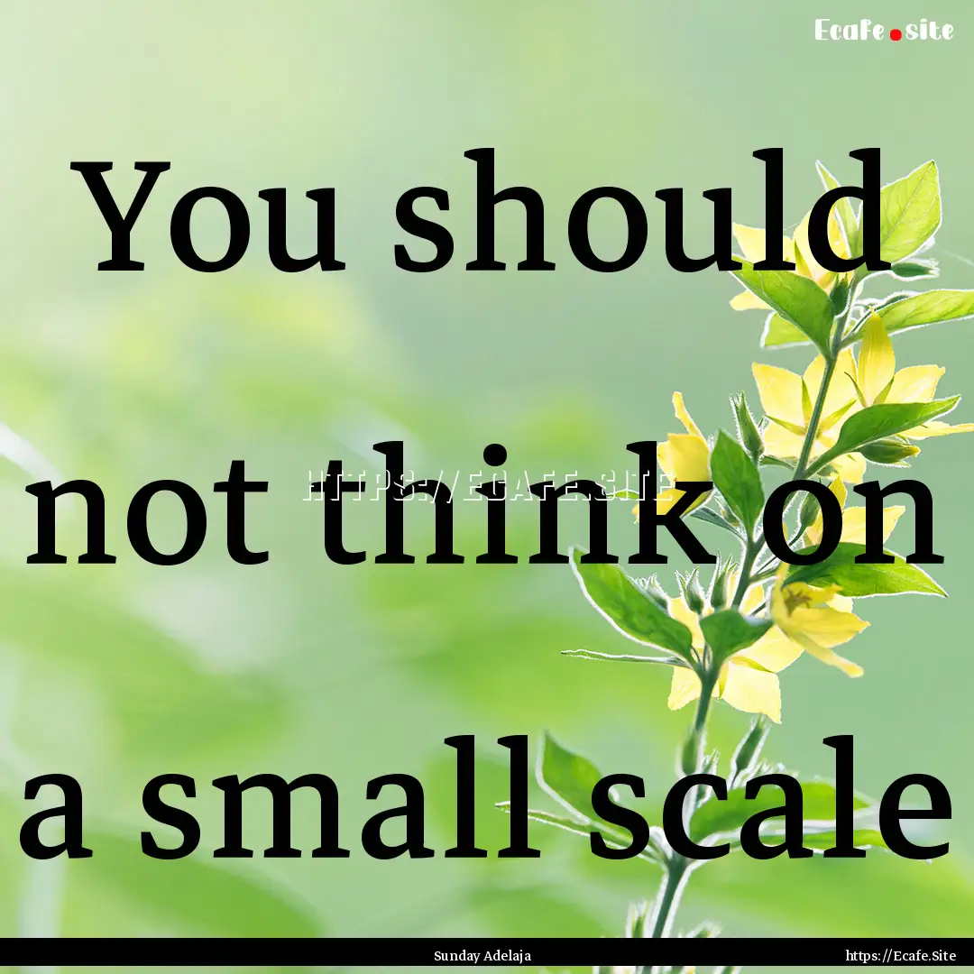 You should not think on a small scale : Quote by Sunday Adelaja